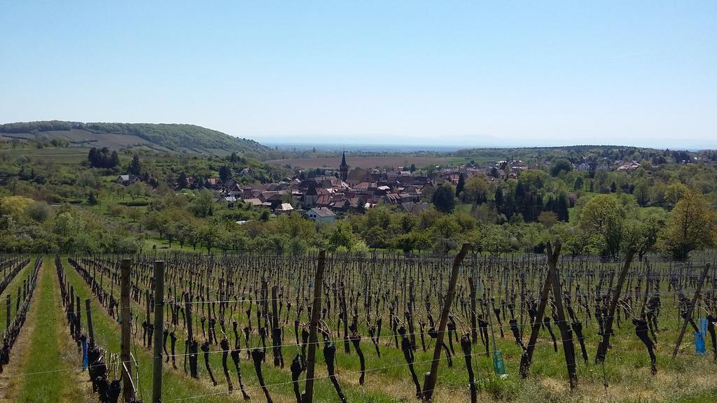 Gite Dans Cite Medievale Boersch Exterior photo